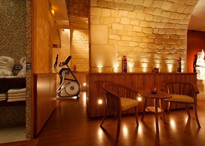 Rochester Champs Elysees Hotell 4*