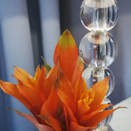 Hotel Rochester Champs Elysees 4*